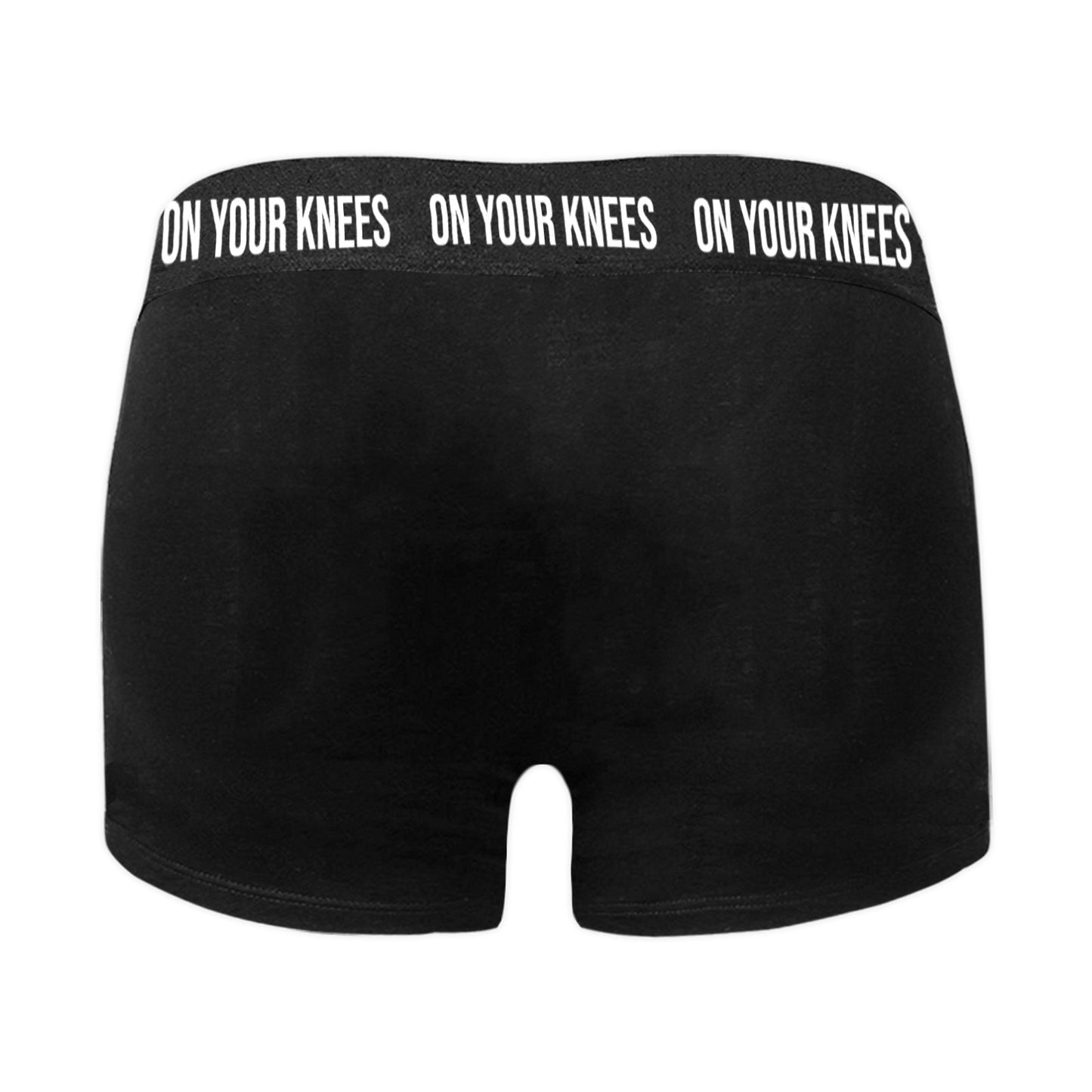 Men's Underwear - "ON YOUR KNEES" Boxer Briefs