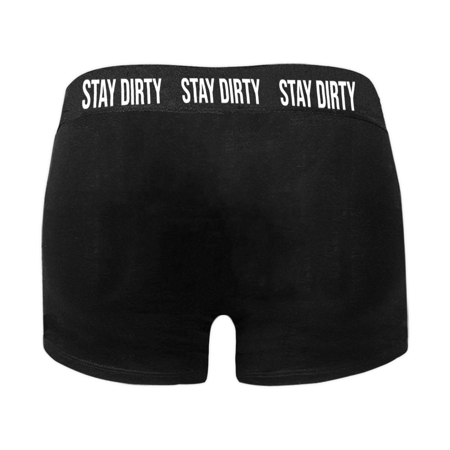 Men's Underwear - "STAY DIRTY" Boxer Briefs